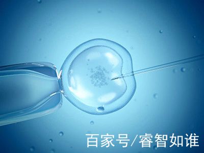 凍結胚移植